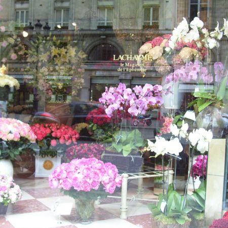 FLORI IN PARIS -RUE ROYALE